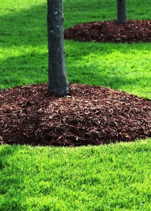 Mulching